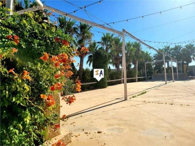 Local Comercial en venta en Herrera, Andalucía