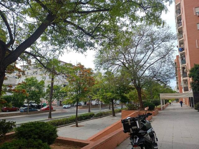 Local Comercial en venta en Huelva
