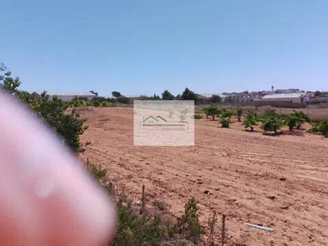 Local Comercial en venta en Iniesta, Castilla-La Mancha