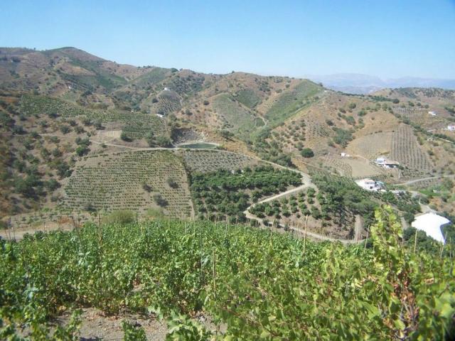 Local Comercial en venta en La Axarquía, Andalucía