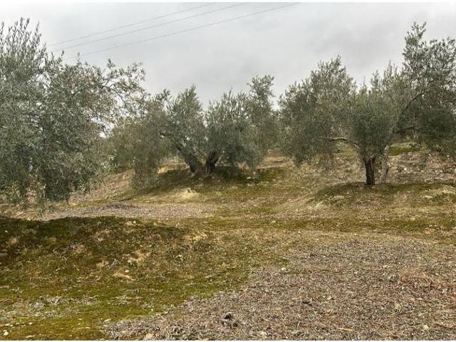 Local Comercial en venta en Jaén, Andalucía