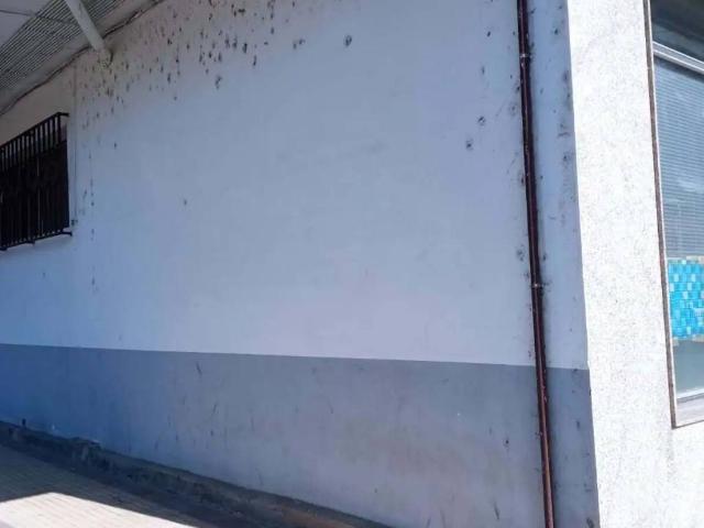 Local Comercial en venta en Valle De Carranza, Guipúzcoa