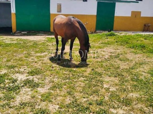 Local Comercial en venta en La Roda De Andalucía