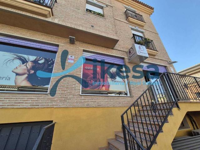 Local Comercial en venta en La Zubia, Granada