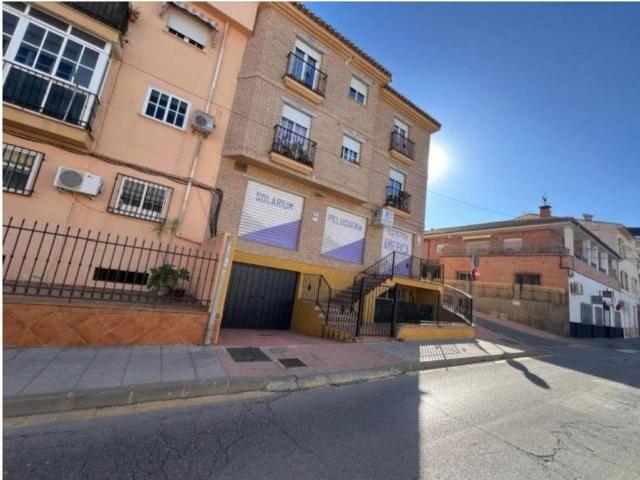 Local Comercial en venta en Comarca de la Vega de Granada, Andalucía