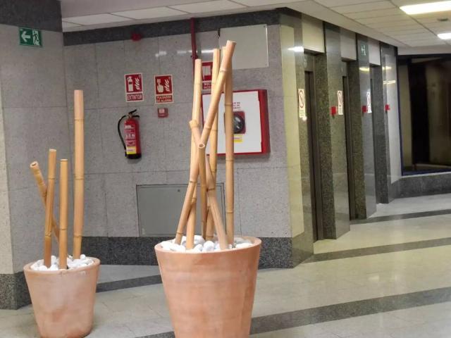 Local Comercial en venta en Las Rozas De Madrid, Madrid