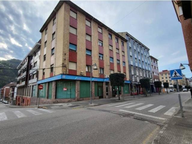 Local Comercial en venta en Laviana, Asturias