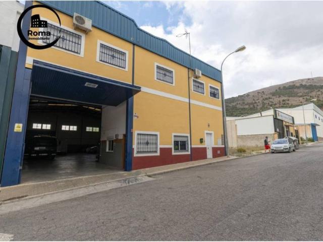 Local Comercial en venta en Comarca de Loja, Andalucía
