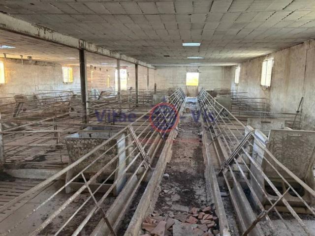 Local Comercial en venta en Rincón de las Coles, Alto Guadalentín