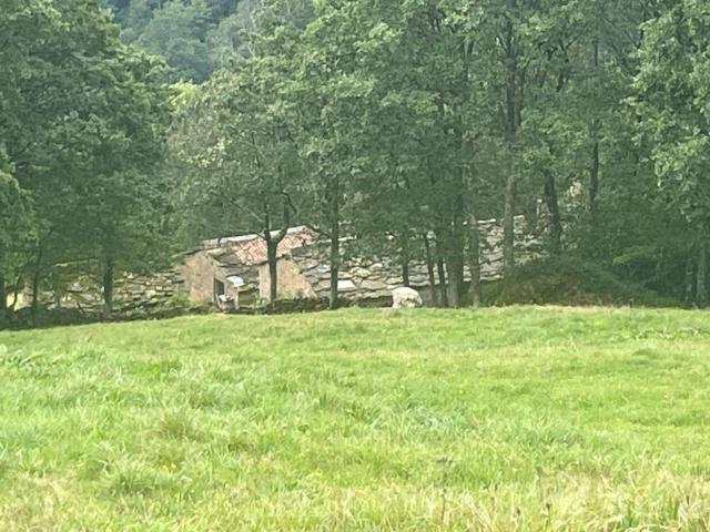 Local Comercial en venta en Luena, Cantabria