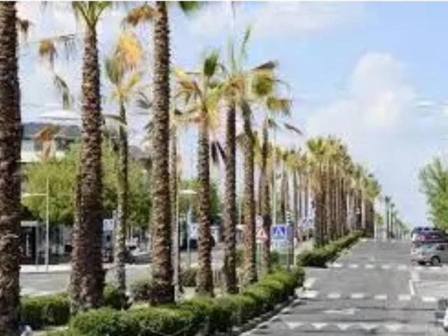 Local Comercial en venta en Madrid