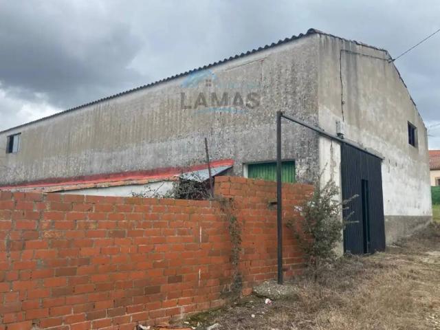Local Comercial en venta en Majadas, Extremadura