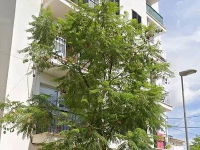 Local Comercial en venta en es Pla de na Tesa, Raiguer