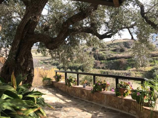 Local Comercial en venta en Comarca de la Vega de Granada, Andalucía