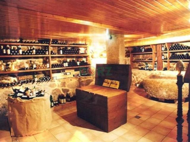 Local Comercial en venta en Terra de Caldelas, Galicia