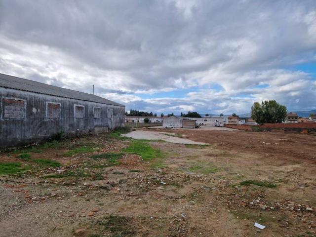 Terreno en venta en Moraleja, Extremadura