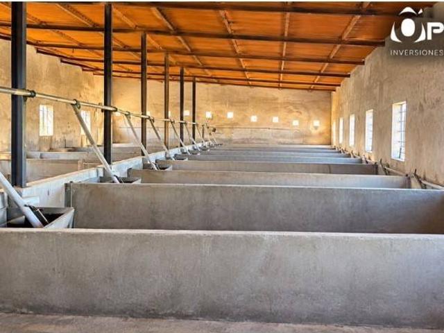 Local Comercial en venta en Niebla, Huelva