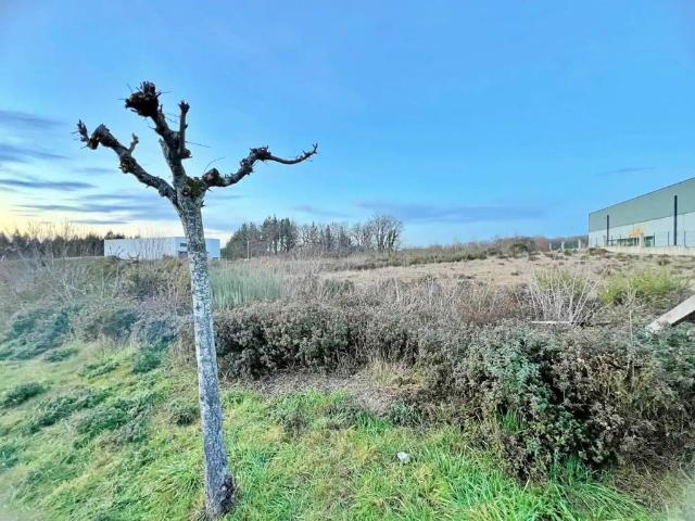Local Comercial en venta en Lugo, Galicia