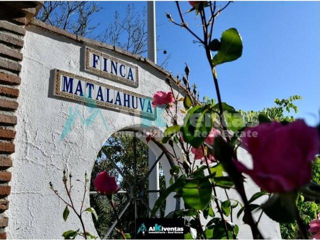 Terreno en venta en Sierra de Cádiz, Andalucía