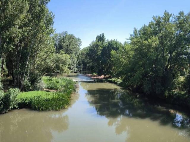 Local Comercial en venta en Palacios De Riopisuerga, Castilla y León