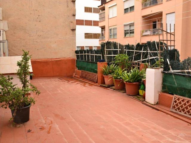 Casa en venta en s'Olivera, Palma