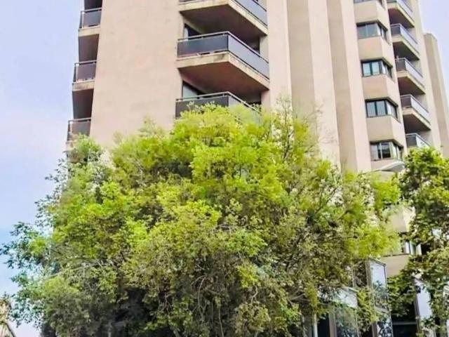 Local Comercial en venta en Palma, Canavall