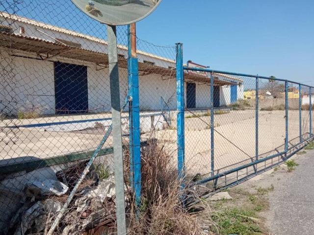 Local Comercial en venta en Pechina, Andalucía