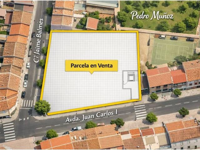 Local Comercial en venta en Pedro Muñoz, Castilla-La Mancha