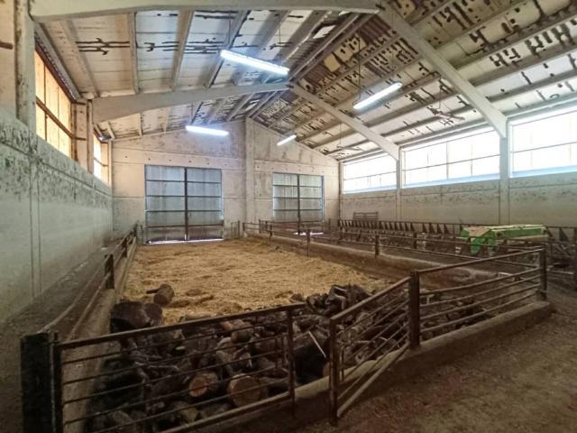 Local Comercial en venta en Pedrosa Del Príncipe, Castilla y León