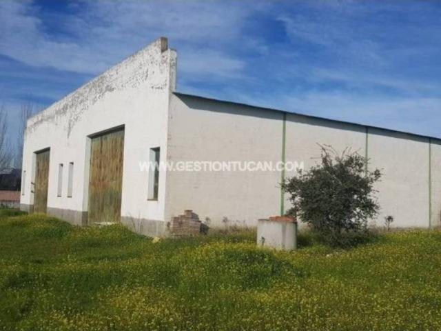Local Comercial en venta en Pepino, Castilla-La Mancha