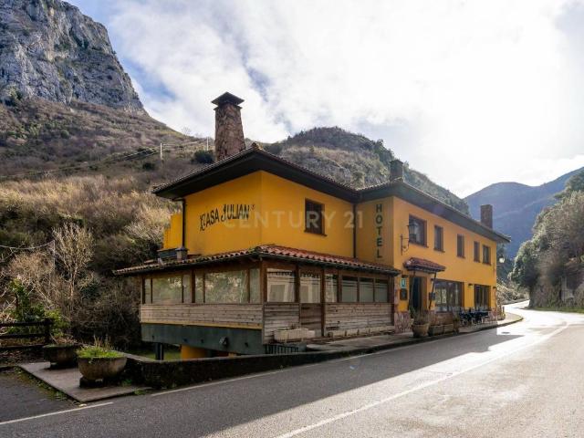 Local Comercial en venta en Peñamellera Alta