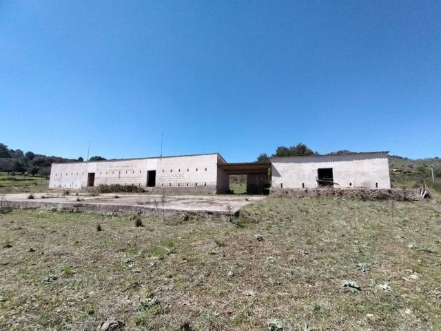 Local Comercial en venta en Piedrahíta, Castilla y León