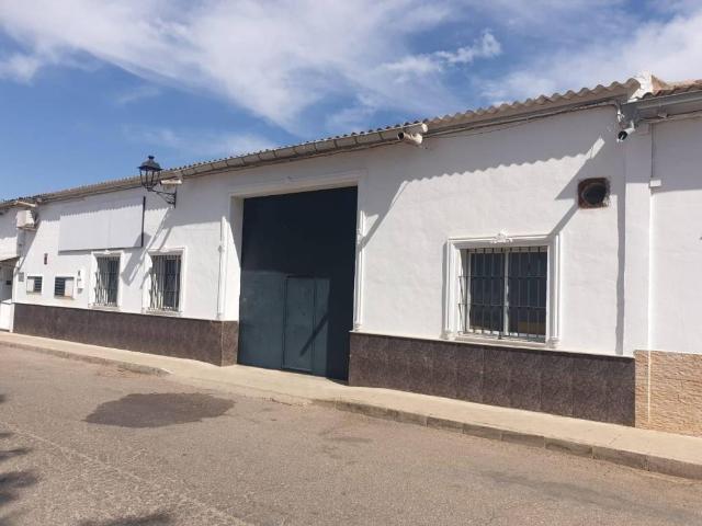 Local Comercial en venta en Pilas