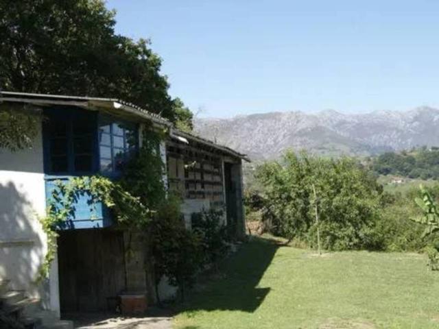 Local Comercial en venta en Piloña, Asturias