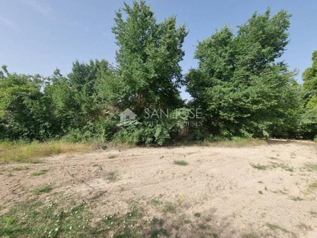 Local Comercial en venta en el Vinalopó Mitjà / El Vinalopó Medio, Valencia