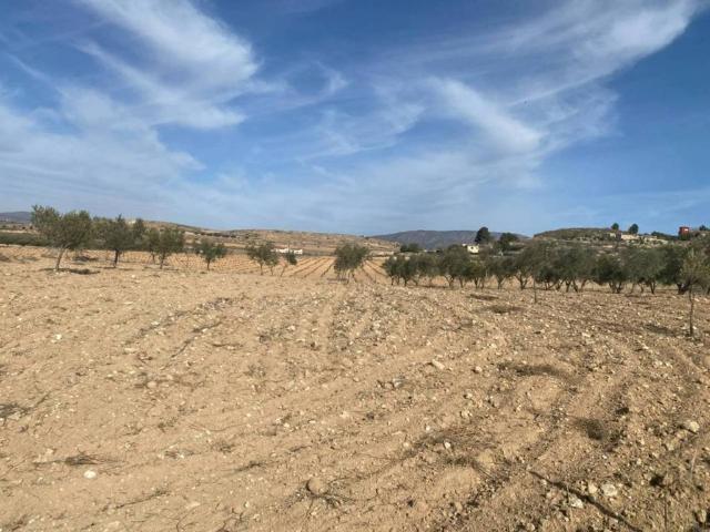 Local Comercial en venta en el Vinalopó Mitjà / El Vinalopó Medio, Valencia
