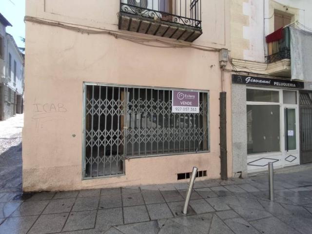 Local Comercial en venta en La Ribera - San Lázaro, Plasencia