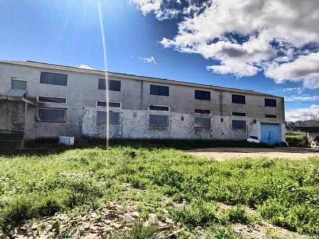 Local Comercial en venta en Río Mula, Murcia