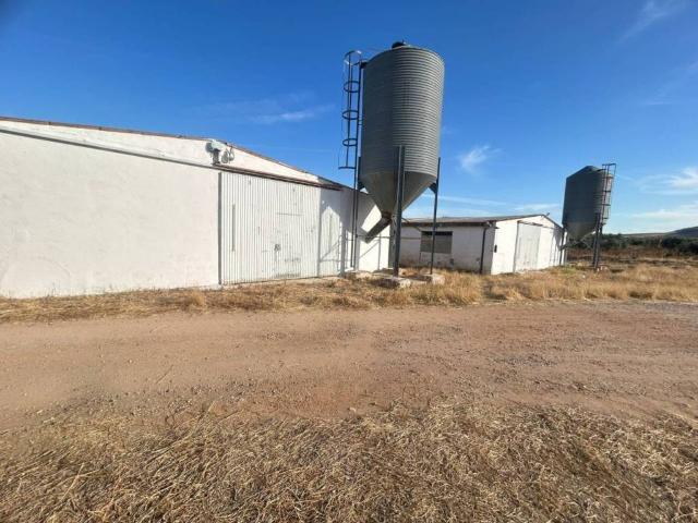 Local Comercial en venta en Polán, Castilla-La Mancha