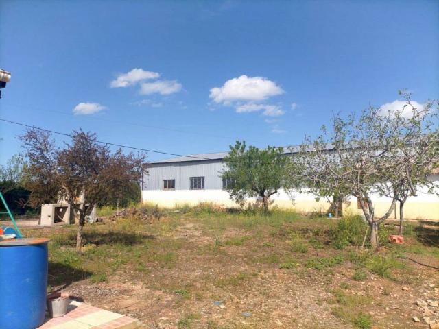 Local Comercial en venta en Pozuelo De Calatrava, Castilla-La Mancha