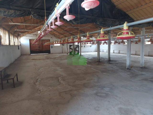 Local Comercial en venta en Puebla De La Calzada, Extremadura