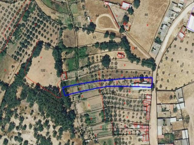Local Comercial en venta en Tierra de Badajoz, Extremadura