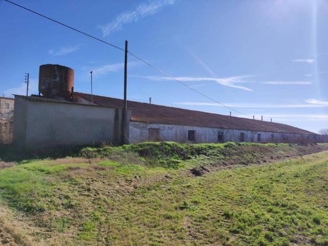 Local Comercial en venta en Cinca Medio, Aragón