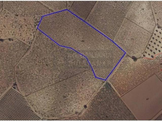 Local Comercial en venta en Quintanar De La Orden, Castilla-La Mancha
