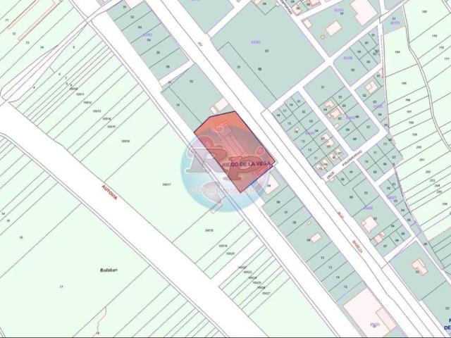 Local Comercial en venta en Riego De La Vega, Castilla y León