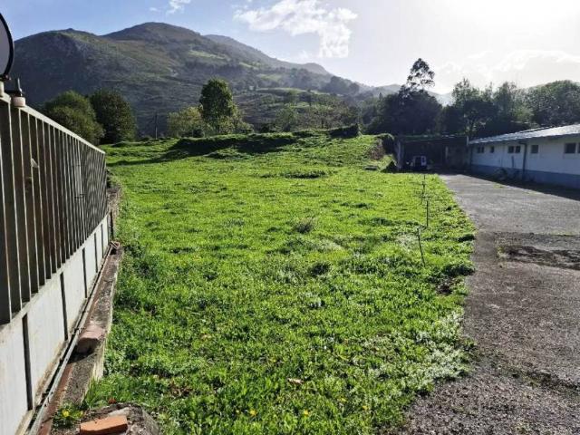 Local Comercial en venta en Rionansa