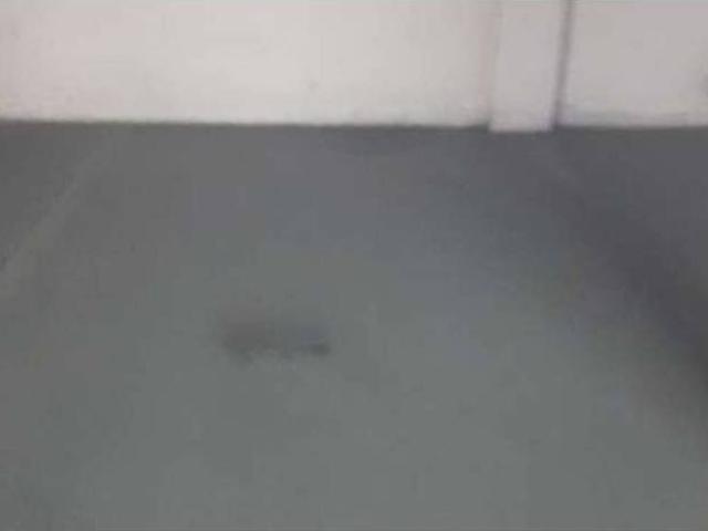 Local Comercial en venta en Campillo del Moro, Roquetas de Mar