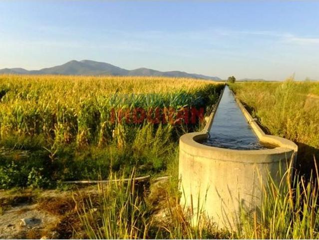Local Comercial en venta en Rosalejo, Extremadura