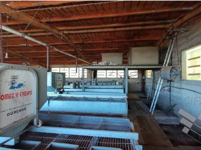 Local Comercial en venta en el Baix Maestrat, Valencia