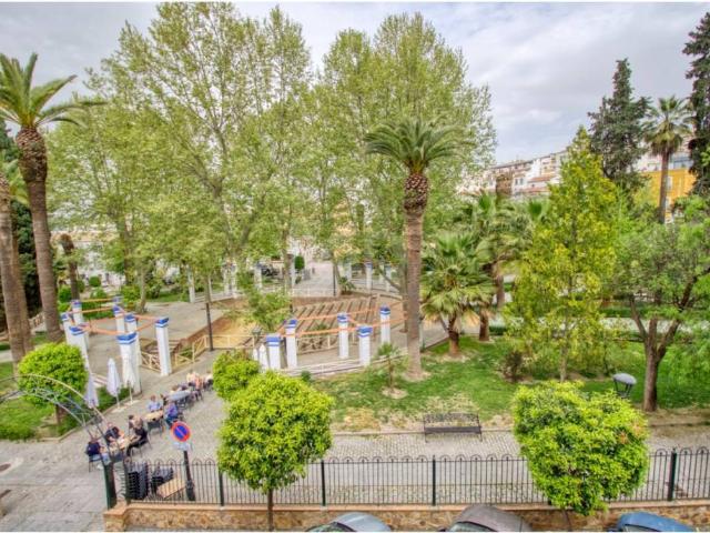 Local Comercial en venta en Rute, Andalucía